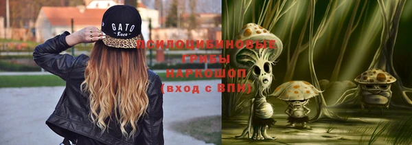 спиды Надым