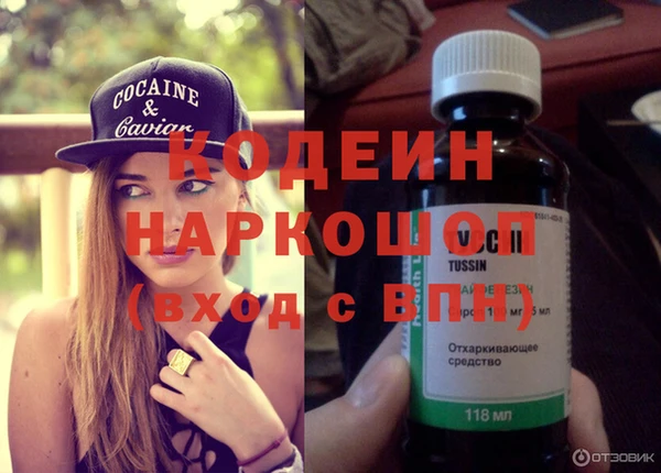 прущие грибы Аша
