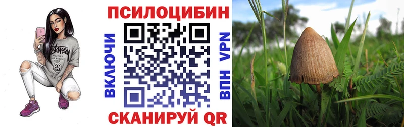 OMG   Горячеводский  Галлюциногенные грибы мицелий 